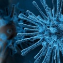 How scientists are fighting the novel coronavirus: A three minute guide